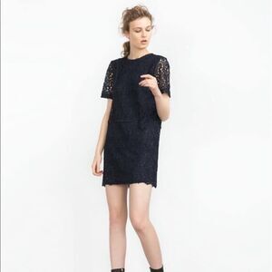 Zara basic collection lace cocktail dress
